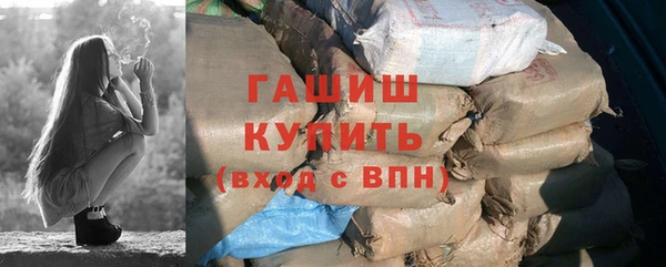 2c-b Инсар