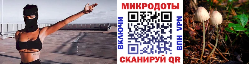 Псилоцибиновые грибы ЛСД Череповец