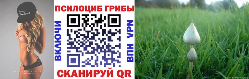 Псилоцибиновые грибы мухоморы  ссылка на мегу сайт  Череповец 